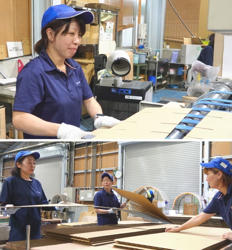 事業内容女性社員